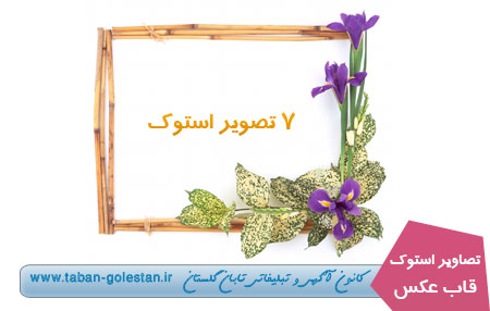 تصاویر استوک قاب عکس